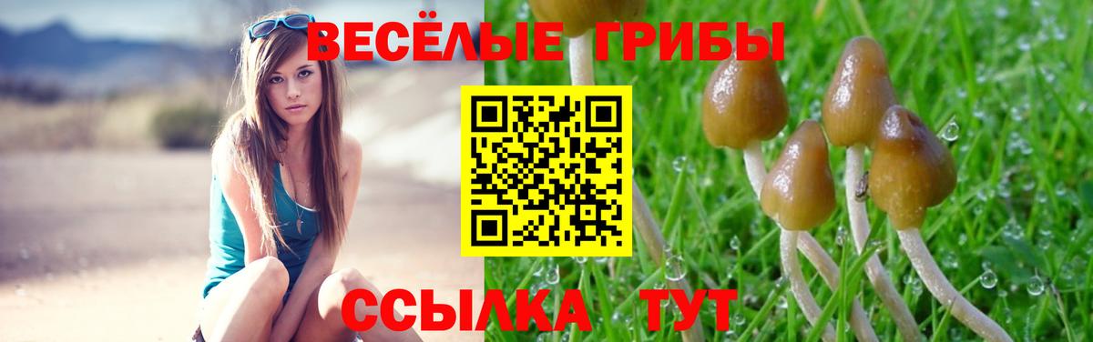 Галлюциногенные грибы MAGIC MUSHROOMS Кольчугино